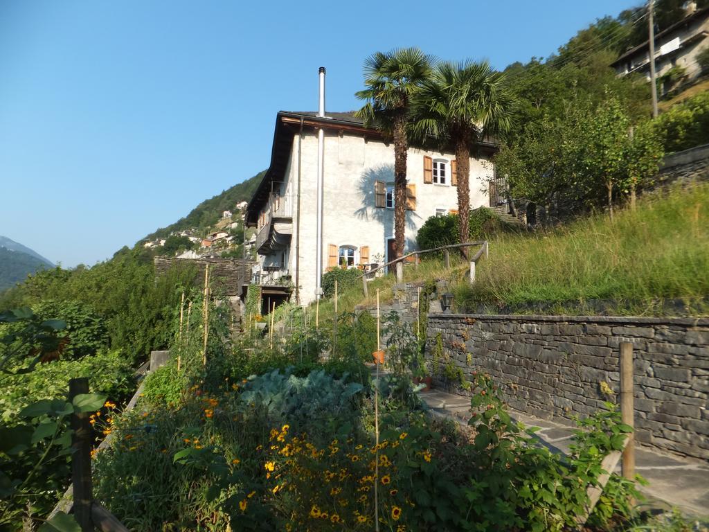 Apartmán Casa Del Sarto Intragna Exteriér fotografie